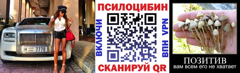 Псилоцибиновые грибы Cubensis  Купить закладки  Георгиевск 